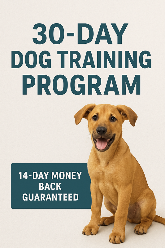 30-Day Dog Training Program: Improve Your Dog’s Behavior at Home Ebook